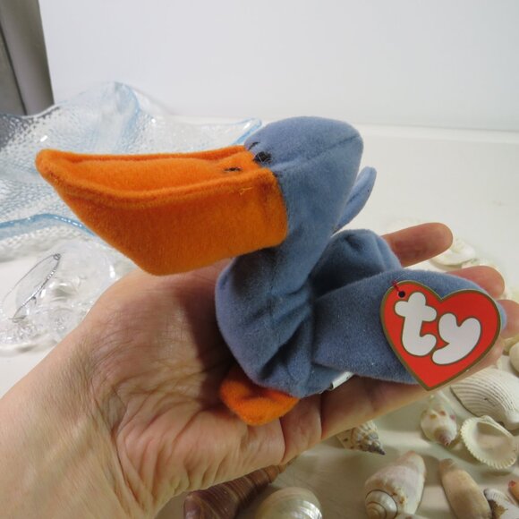 sea shells, acrylic sea turtle, TY Scoop pelican collection - Picture 6 of 13